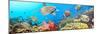 Underwater Panorama-GoodOlga-Mounted Photographic Print