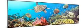 Underwater Panorama-GoodOlga-Mounted Photographic Print