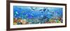 Underwater Panorama-Adrian Chesterman-Framed Art Print