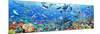 Underwater Panorama-Adrian Chesterman-Mounted Art Print