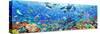 Underwater Panorama-Adrian Chesterman-Stretched Canvas