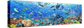 Underwater Panorama-Adrian Chesterman-Stretched Canvas