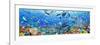 Underwater Panorama-Adrian Chesterman-Framed Art Print