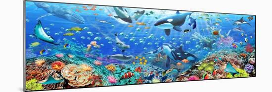 Underwater Panorama-Adrian Chesterman-Mounted Art Print