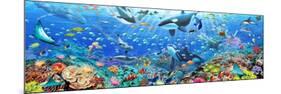 Underwater Panorama-Adrian Chesterman-Mounted Art Print