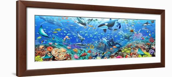 Underwater Panorama-Adrian Chesterman-Framed Art Print