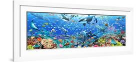 Underwater Panorama-Adrian Chesterman-Framed Premium Giclee Print