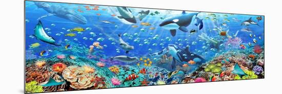 Underwater Panorama-Adrian Chesterman-Mounted Premium Giclee Print