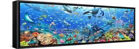 Underwater Panorama-Adrian Chesterman-Framed Stretched Canvas