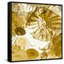 Underwater Perspective in Gold-Charlie Carter-Framed Stretched Canvas