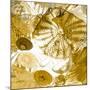 Underwater Perspective in Gold-Charlie Carter-Mounted Art Print