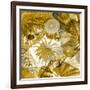 Underwater Perspective in Gold-Charlie Carter-Framed Art Print