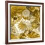 Underwater Perspective in Gold-Charlie Carter-Framed Art Print