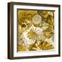 Underwater Perspective in Gold-Charlie Carter-Framed Art Print