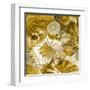 Underwater Perspective in Gold-Charlie Carter-Framed Art Print