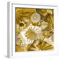 Underwater Perspective in Gold-Charlie Carter-Framed Art Print