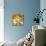 Underwater Perspective in Gold-Charlie Carter-Mounted Art Print displayed on a wall