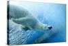 Underwater Photo of a Polar Bear-Zigi-Stretched Canvas