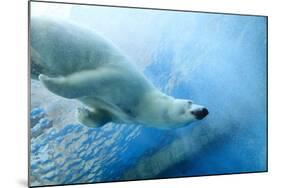 Underwater Photo of a Polar Bear-Zigi-Mounted Photographic Print