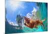 Underwater Photo of Golden Labrador Retriever Puppy in Outdoor Swimming Pool Play with Fun - Jumpin-Tropical studio-Mounted Photographic Print