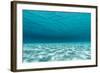 Underwater Photograph of a Textured Sandbar in Clear Blue Water Near Staniel Cay, Exuma, Bahamas-James White-Framed Photographic Print