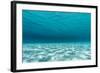 Underwater Photograph of a Textured Sandbar in Clear Blue Water Near Staniel Cay, Exuma, Bahamas-James White-Framed Photographic Print