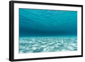 Underwater Photograph of a Textured Sandbar in Clear Blue Water Near Staniel Cay, Exuma, Bahamas-James White-Framed Photographic Print