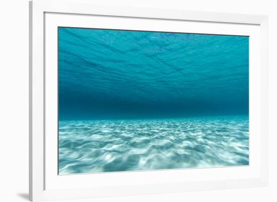 Underwater Photograph of a Textured Sandbar in Clear Blue Water Near Staniel Cay, Exuma, Bahamas-James White-Framed Photographic Print