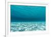 Underwater Photograph of a Textured Sandbar in Clear Blue Water Near Staniel Cay, Exuma, Bahamas-James White-Framed Photographic Print