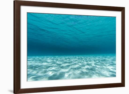 Underwater Photograph of a Textured Sandbar in Clear Blue Water Near Staniel Cay, Exuma, Bahamas-James White-Framed Photographic Print