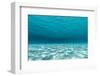 Underwater Photograph of a Textured Sandbar in Clear Blue Water Near Staniel Cay, Exuma, Bahamas-James White-Framed Photographic Print