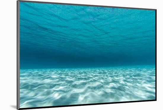Underwater Photograph of a Textured Sandbar in Clear Blue Water Near Staniel Cay, Exuma, Bahamas-James White-Mounted Photographic Print