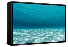 Underwater Photograph of a Textured Sandbar in Clear Blue Water Near Staniel Cay, Exuma, Bahamas-James White-Framed Stretched Canvas