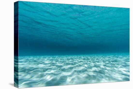 Underwater Photograph of a Textured Sandbar in Clear Blue Water Near Staniel Cay, Exuma, Bahamas-James White-Stretched Canvas