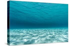 Underwater Photograph of a Textured Sandbar in Clear Blue Water Near Staniel Cay, Exuma, Bahamas-James White-Stretched Canvas