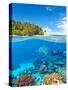 Underwater Photography with Tropical Island-Jakub Gojda-Stretched Canvas