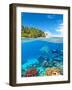 Underwater Photography with Tropical Island-Jakub Gojda-Framed Photographic Print