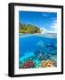 Underwater Photography with Tropical Island-Jakub Gojda-Framed Photographic Print