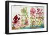 Underwater Plants-null-Framed Giclee Print