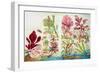 Underwater Plants-null-Framed Giclee Print