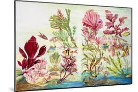 Underwater Plants-null-Mounted Giclee Print