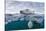 Underwater Polar Bear by Harbour Islands, Nunavut, Canada-Paul Souders-Stretched Canvas