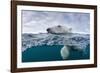 Underwater Polar Bear by Harbour Islands, Nunavut, Canada-Paul Souders-Framed Photographic Print