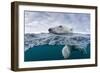 Underwater Polar Bear by Harbour Islands, Nunavut, Canada-Paul Souders-Framed Photographic Print