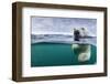 Underwater Polar Bear by Harbour Islands, Nunavut, Canada-Paul Souders-Framed Photographic Print