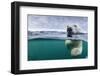 Underwater Polar Bear by Harbour Islands, Nunavut, Canada-Paul Souders-Framed Photographic Print