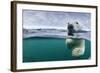 Underwater Polar Bear by Harbour Islands, Nunavut, Canada-Paul Souders-Framed Photographic Print