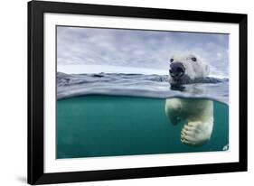 Underwater Polar Bear by Harbour Islands, Nunavut, Canada-Paul Souders-Framed Photographic Print