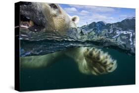 Underwater Polar Bear, Hudson Bay, Nunavut, Canada-Paul Souders-Stretched Canvas