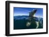 Underwater Polar Bear, Hudson Bay, Nunavut, Canada-Paul Souders-Framed Photographic Print